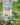 MIR_Hodler-Cover-150dpi-CMJN