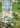 MIR_Hodler-Cover-150dpi-CMJN